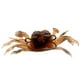 3 PCS 10cm 30g Leurres de Pêche Doux Crabe Appât Artificiel Appât de Poisson Mou avec Crochet Pointu – image 2 sur 7
