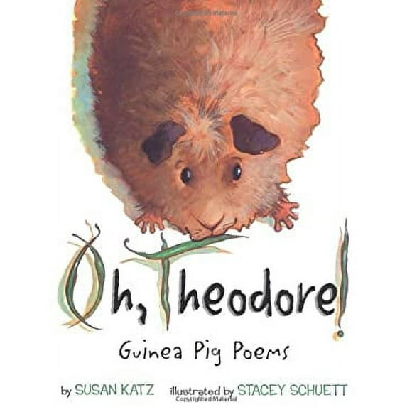 Oh, Theodore! 9780618702220 Used / Pre-owned