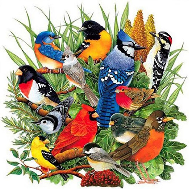Juego de pintura de diamante 5D para niños adultos de 30 x 40 cm, fiesta de pájaros, manualidades de punto de cruz con bordado de diamantes, juego de pintura de diamantes de imitación de cristal de li