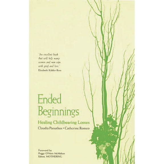 Healing Childbearing Losses Ended Beginnings: Healing Childbearing Losses, (Paperback)