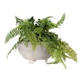 thumbnail image 4 of 3R Studios Fluted Distressed Cream Footed Terracotta Planter, 4 of 11