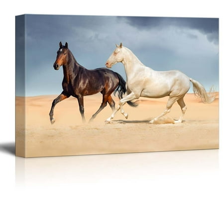 A White Horse And A Black Horse Running On Desert Against