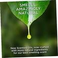thumbnail image 3 of Air Wick Plug in Scented Oil Refill Blue Agave and Bamboo 5ct, 3 of 9