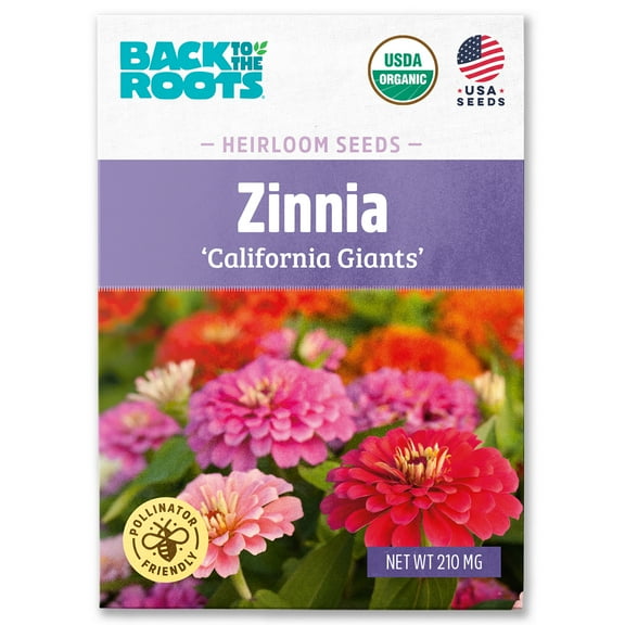 Back to the Roots Organic Zinnia 'California Giants', 1 Seed packet