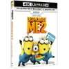 Despicable Me 2 (4K Ultra HD + Blu-ray)