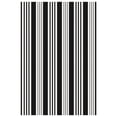 thumbnail image 7 of iOhouze Outdoor Rugs Black and White Striped Area Rug 4x6 ft Washable Indoor Outdoor Cotton Floor Carpet Rug, 7 of 7