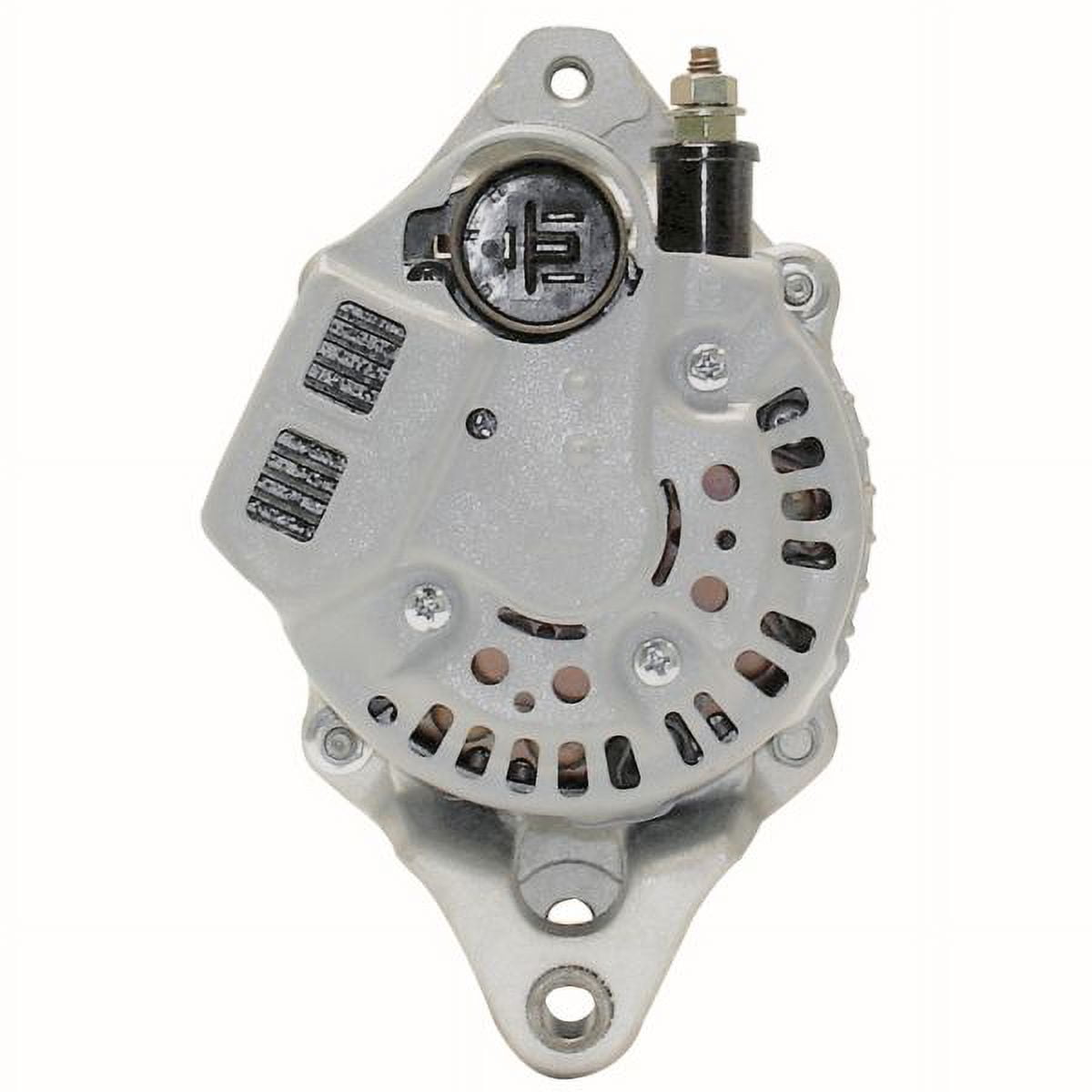 AKIMU様！メルカリ便！P.ridleyi dwarf silver 240 AKIMU様！メルカリ便！P.ridleyi dwarf silver 240