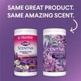 Clorox Scentiva, Bleach Free, Lavender & Jasmine Scented Disinfecting