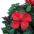 thumbnail image 2 of Trademark Global Artificial Hibiscus Plant, 48-inch Fake Tree with UV-Resistant Leaves and Pink Flowers, 2 of 4