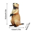 thumbnail image 3 of Groundhog Figurine Statue - Realistic Marmot Garden Sculpture for Outdoor Lawn Decor - Cute Animal Statue for Groundhog Day Celebration - Durable Home Decoration for Yard Patio Garden, 3 of 6