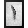 thumbnail image 2 of Blaustein, Alan 17x24 Black Modern Framed Museum Art Print Titled - Feathers - 5, 2 of 5