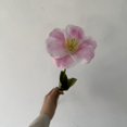 thumbnail image 1 of Xiao Hua 6 flores artificiales de tacto real para decoración del hogar, oficina, boda, arreglo floral (Q03, 9.8 pulgadas de largo), 1 of 5