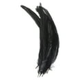 thumbnail image 1 of Uxcell 10-12 Inch Plumas de gallo, paquete de 50 plumas naturales al por mayor para manualidades estilo 1, negro, 1 of 6