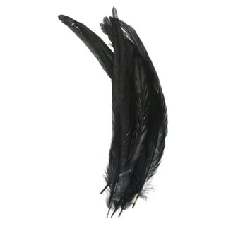 Uxcell 4-6 Inch Natural Feathers, 250 Pack Bulk Feathers for Crafts  Carnival Handwork Clothing Style 2, Black