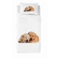 thumbnail image 1 of Ens. housse de couette So Cute de Gouchee Design pour lit simple, 1 of 2
