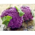 thumbnail image 1 of HJADGG 100+ Cauliflower Cabbage Modika Sicily-Vegetable Purple, 1 of 8