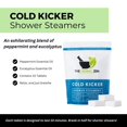 thumbnail image 2 of Vaporizadores de ducha The Herbal Zen Cold Kicker Eucalyptus x10, 2 of 9