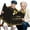 Gold, variant on Retirement Greeting Cards for New Guests - Thoughtful Designs to Celebrate and Memories - for Sending Wishes