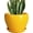 Bright Yellow, variant on Ceramic Plant Pot 8 Inch, Glaze White and Black