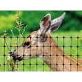 thumbnail image 5 of Tenax Deer Net Landscape Fence, 100-ft x 7-ft, Green, Extruded Mesh Rolled Fencing, 5 of 7