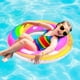 thumbnail image 4 of Anillo de natación inflable HUOGUO Rainbow para niños, 4 of 5