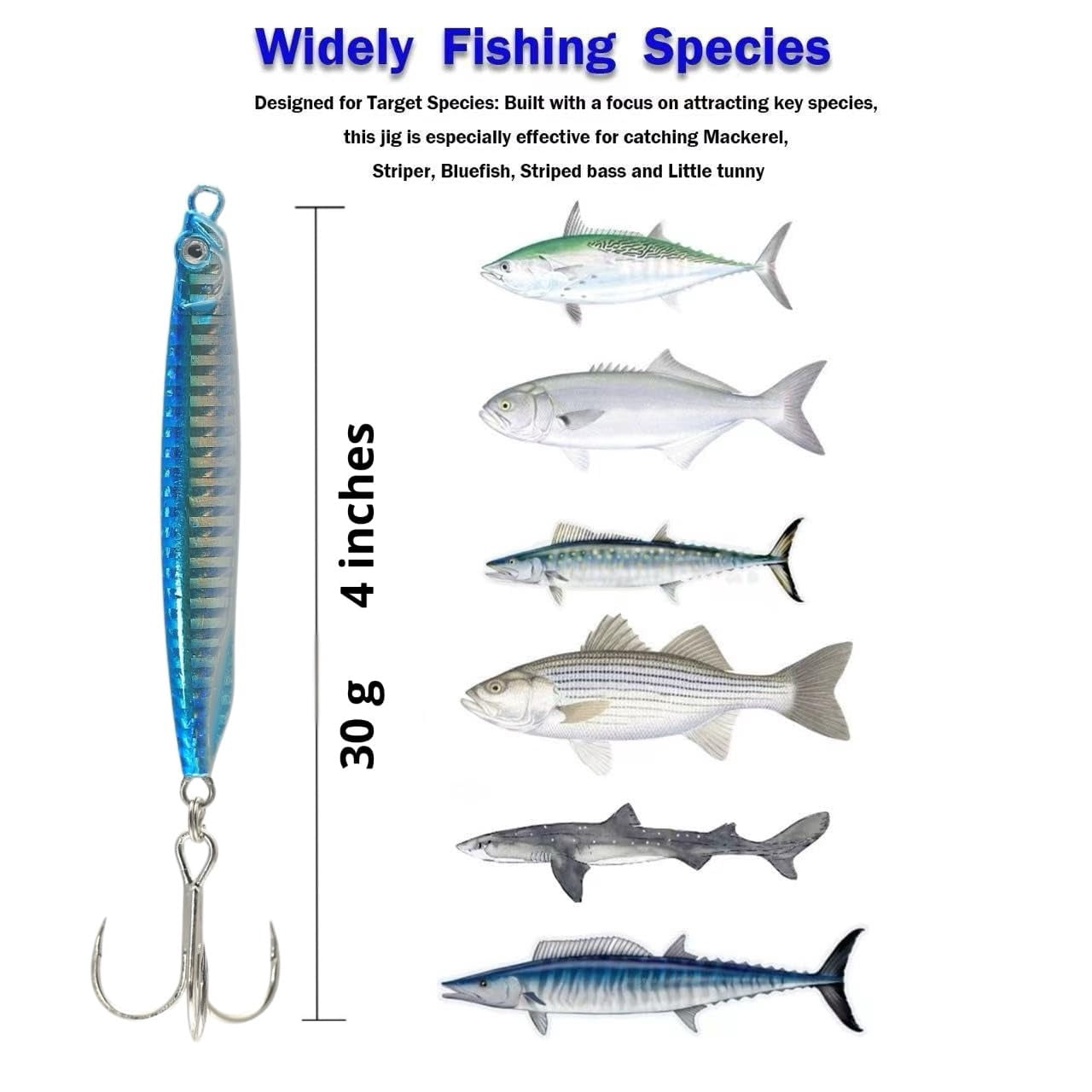 Saltwater Fishing Lures Jigs Spoons For Striped Bass  Pompano Spanish Mackerel Bluefish