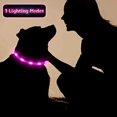 thumbnail image 2 of 3 Pcs LED Pet Collar  Light Up Dog Collars  USB Rechargeable Water Resistant  Outdoor Cuttable Glowing Necklace, 2 of 7