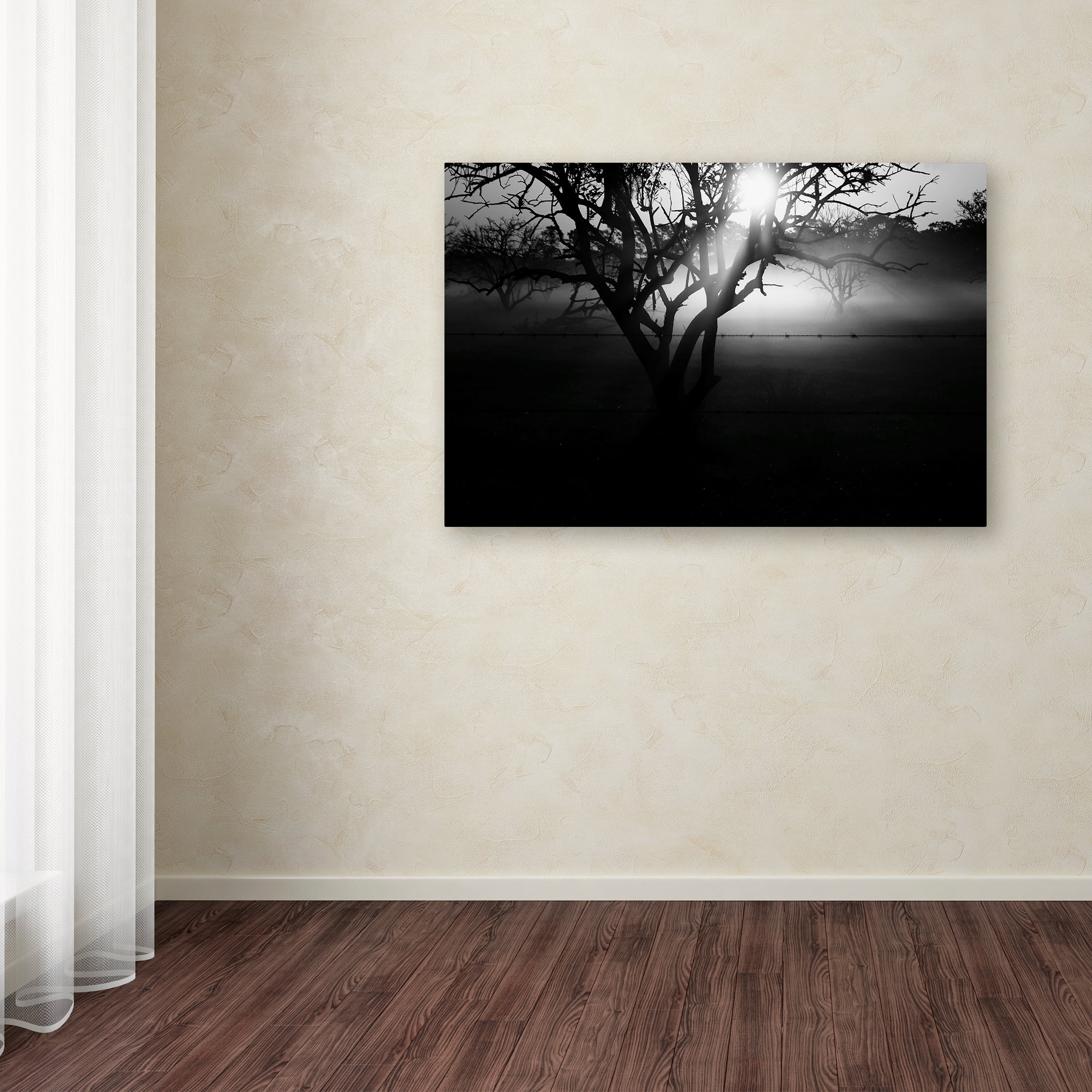 Trademark Fine Art 'Black and White Morning Groves' Canvas Art by Patty Tuggle