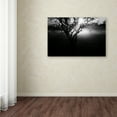 thumbnail image 3 of Trademark Fine Art 'Black and White Morning Groves' Canvas Art by Patty Tuggle, 3 of 3
