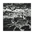 thumbnail image 4 of Crab in Impressionism - Canvas, 4 of 25