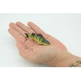 thumbnail image 3 of Yellow Perch, Hand Painted, Educational, Rubber Fish, Realistic Figure, Lifelike Model, Figurine, Replica, Gift, 2 3/4" SF14 B31, 3 of 9