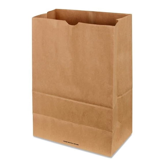 SHOPPING BAG PAPER 500PK (Pack of 1)