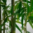 thumbnail image 3 of Nearly Natural 11ft. Artificial Green Bamboo Tree, 3 of 6
