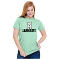 thumbnail image 4 of Llamaste Namaste Spiritual Llama Plus Size Crewneck Graphic Tee Shirt Brisco Brands 2X, 4 of 5