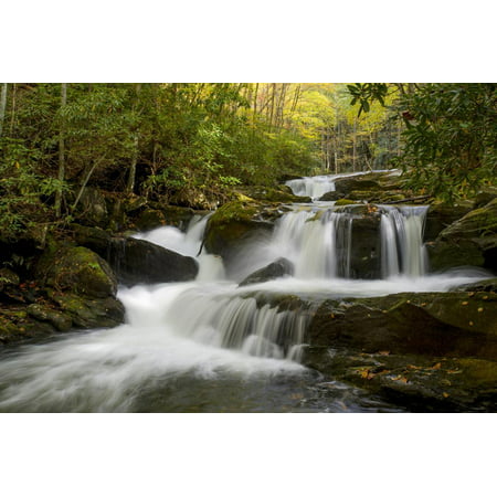 Tennessee, Great Smoky Mountains National Park. Autumn Trees and Waterfall on the Little River Print Wall Art By Judith