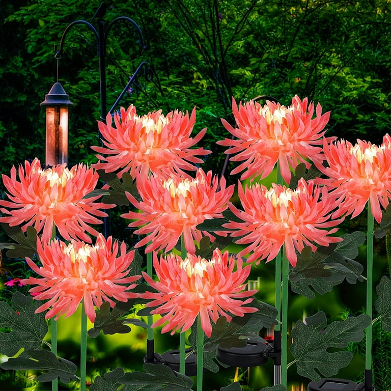 SolarEra 8 Pcs Outdoor Solar Lights Waterproof Red Solar Chrysanthemum Flowers Stake Light LED Solar Garden Lights Landscape Pathway Light for Patio