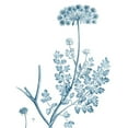 thumbnail image 3 of Vision Studio 20x24 Black Modern Framed Museum Art Print Titled - Antique Botanical in Blue V, 3 of 5