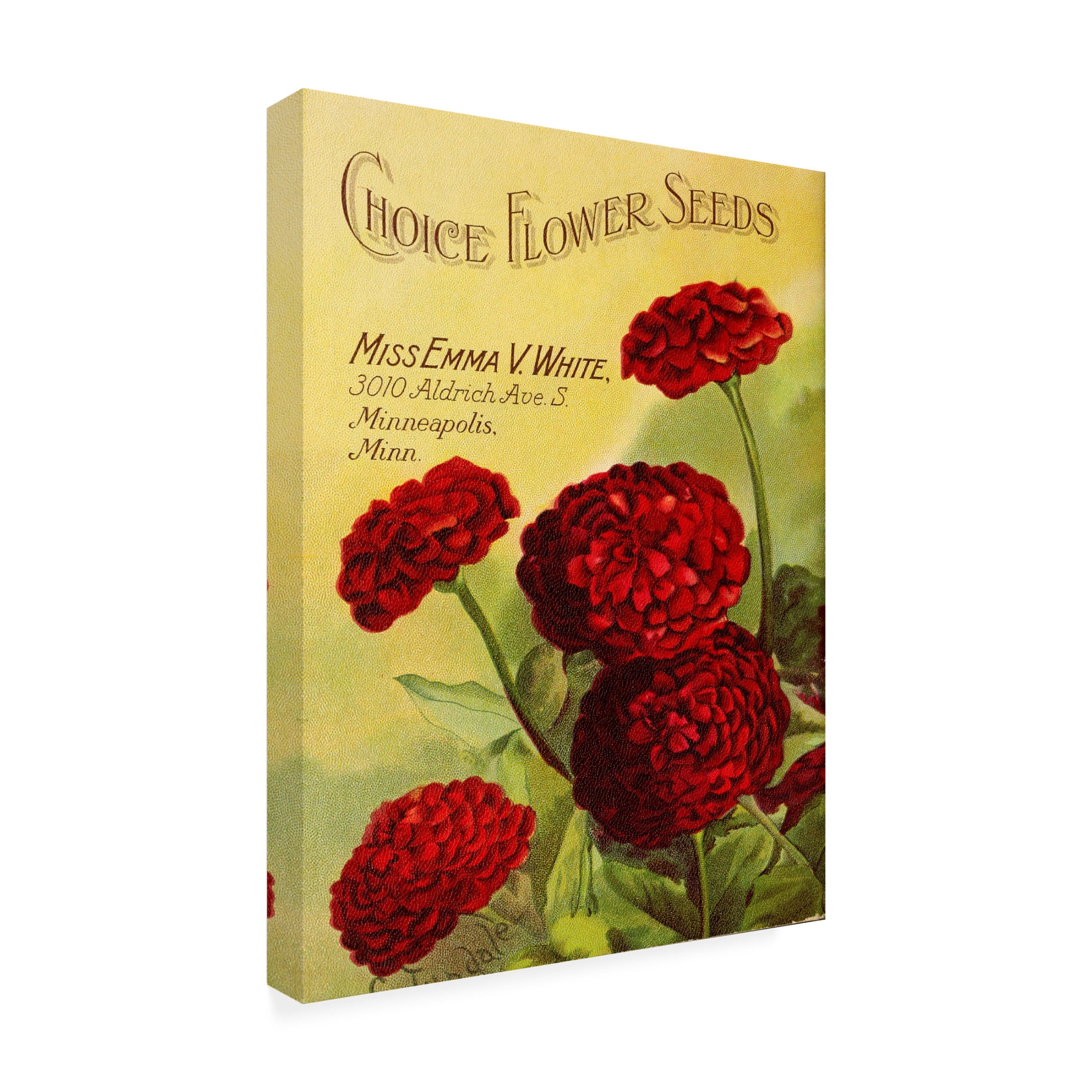 Canvas Wall Art - Vintage Apple Collection 'Red Flowers 1919' Wall Art for Living Room, Bedroom, or Office Décor by Trademark Fine Art - 35 x 47 Inches