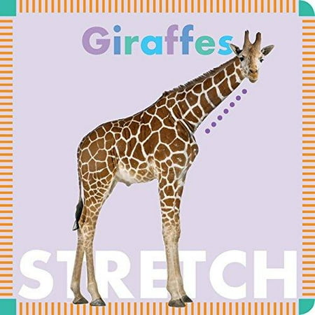 Giraffe Swing - Giraffes Stretch