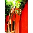 thumbnail image 1 of Warren Mexico XI Wall Decal, 1 of 2