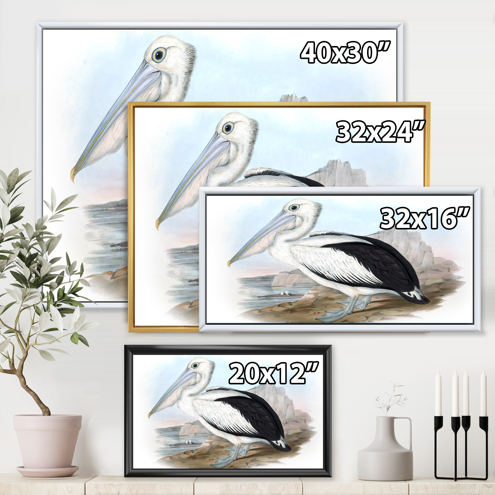 Designart 'Ancient Australian Birds VIII' Traditional Framed Canvas Wall Art Print