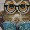 thumbnail image 5 of Orinice Owl Glasses Book Bathroom Decor Set - Colorful Luxurious Graphic Print Polyester Fabric Fashion Decor Sets with Hooks, Washable Shower Curtain for Home Bathroom Decoration 36x72, 5 of 7