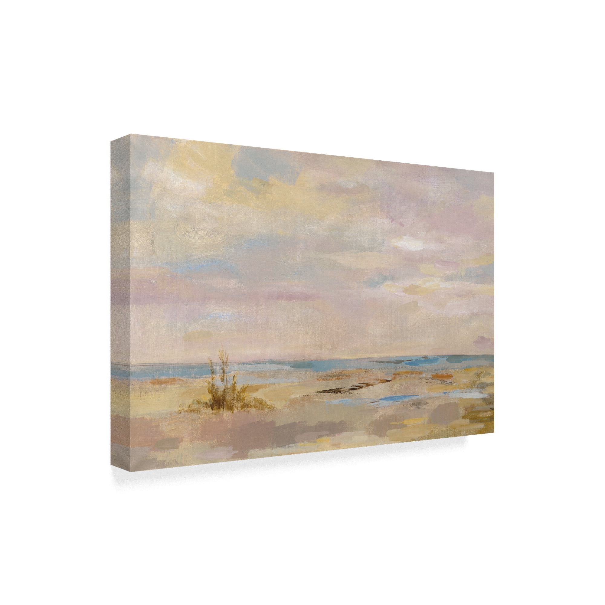 Trademark Fine Art 'Dreamy Beach' Canvas Art by Silvia Vassileva