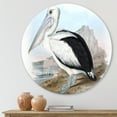 thumbnail image 2 of Designart 'Ancient Australian Birds VIII' Traditional Circle Metal Wall Art 23x23 - Disc of 23, 2 of 5