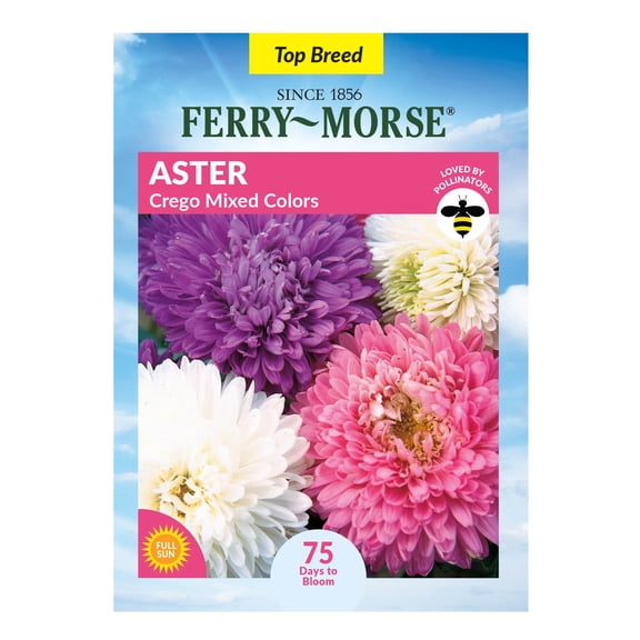 Ferry-Morse 200MG Aster Crego Annual Flower Seeds, Full Sun
