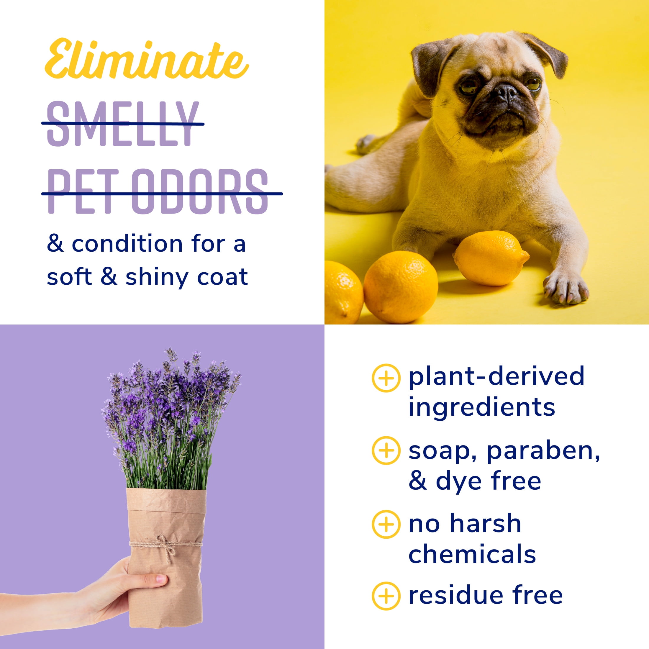 Naturel Promise Fresh & Soothing Lavender Escape Deodorizing Spray for Dogs, 8 fl oz
