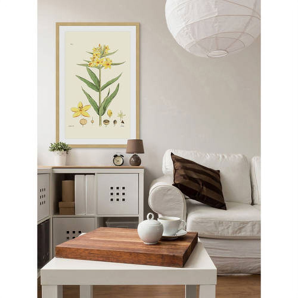 "Antique Floral VIII" Framed Painting Print
