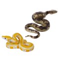 thumbnail image 4 of 2Pcs Haute Simulation Boa Modèle Jouets en Plastique Serpent Modèles de Bureau Truc Jouet, 4 of 8