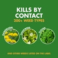 thumbnail image 3 of Spectracide Weed Stop For Lawns Ready to Use, Kills Over 200 Weed Types, 1 Gallon, 3 of 13