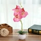 thumbnail image 5 of Bonsái De Orquídea Artificial De Tela 1 unidad de orquídea Phalaenopsis de seda rosa artificial en maceta de cerámica,bonsái de flor artificial alto para decoración del hogar. Rkxzt, 5 of 8